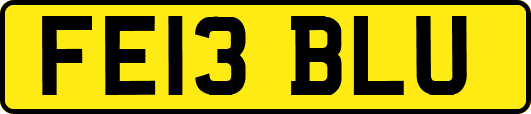 FE13BLU