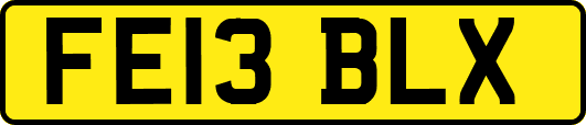 FE13BLX