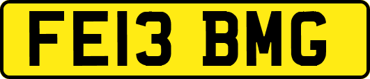 FE13BMG