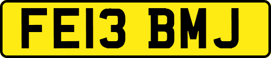 FE13BMJ