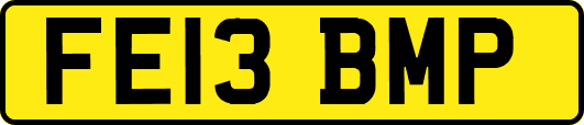 FE13BMP