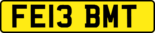 FE13BMT