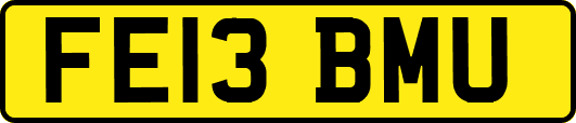 FE13BMU