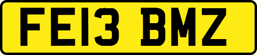 FE13BMZ
