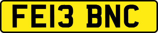 FE13BNC