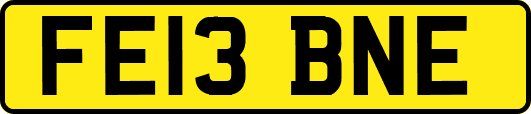 FE13BNE