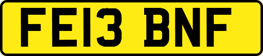 FE13BNF
