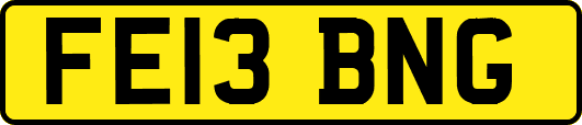 FE13BNG