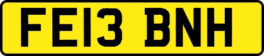 FE13BNH