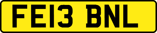 FE13BNL
