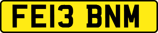 FE13BNM