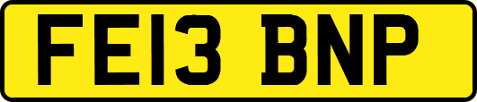 FE13BNP