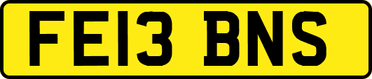 FE13BNS