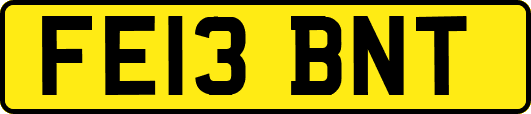 FE13BNT