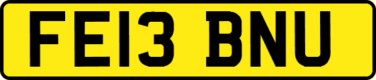 FE13BNU