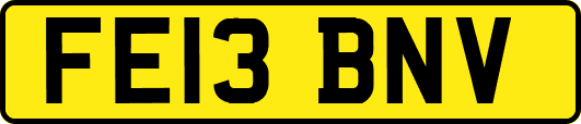 FE13BNV