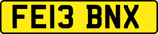 FE13BNX