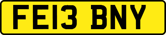 FE13BNY