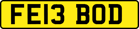 FE13BOD