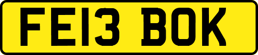 FE13BOK