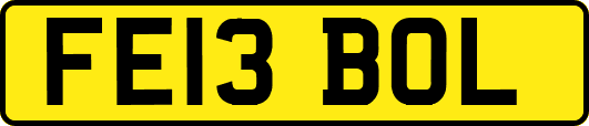 FE13BOL