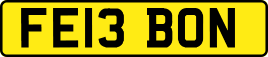 FE13BON