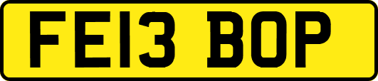 FE13BOP