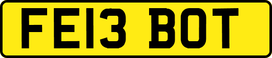 FE13BOT