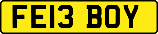 FE13BOY