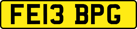 FE13BPG