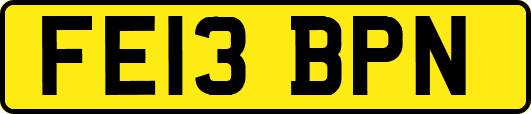 FE13BPN