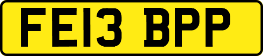 FE13BPP