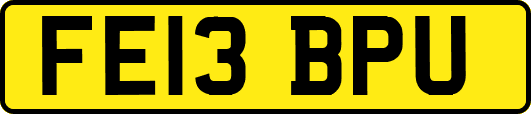 FE13BPU