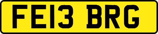 FE13BRG