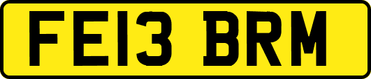 FE13BRM