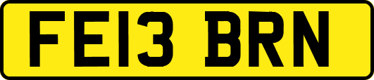 FE13BRN