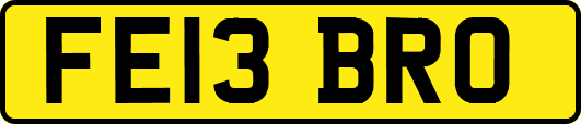 FE13BRO