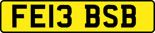 FE13BSB