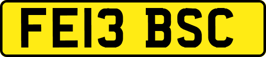 FE13BSC