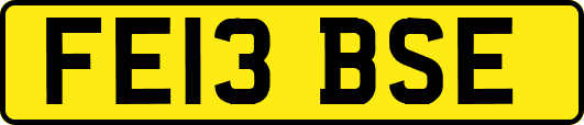 FE13BSE