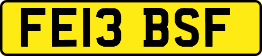 FE13BSF