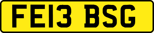 FE13BSG