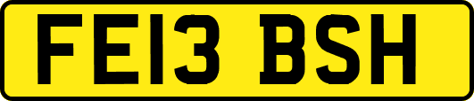 FE13BSH