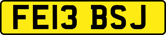 FE13BSJ