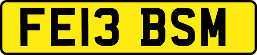 FE13BSM