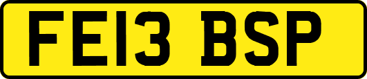 FE13BSP