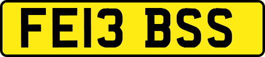 FE13BSS