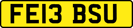 FE13BSU