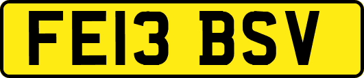 FE13BSV
