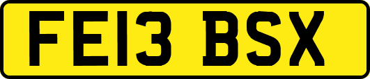 FE13BSX
